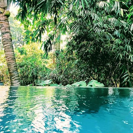 Ngesil Private Joglo & Pool Hotel Убуд Екстериор снимка