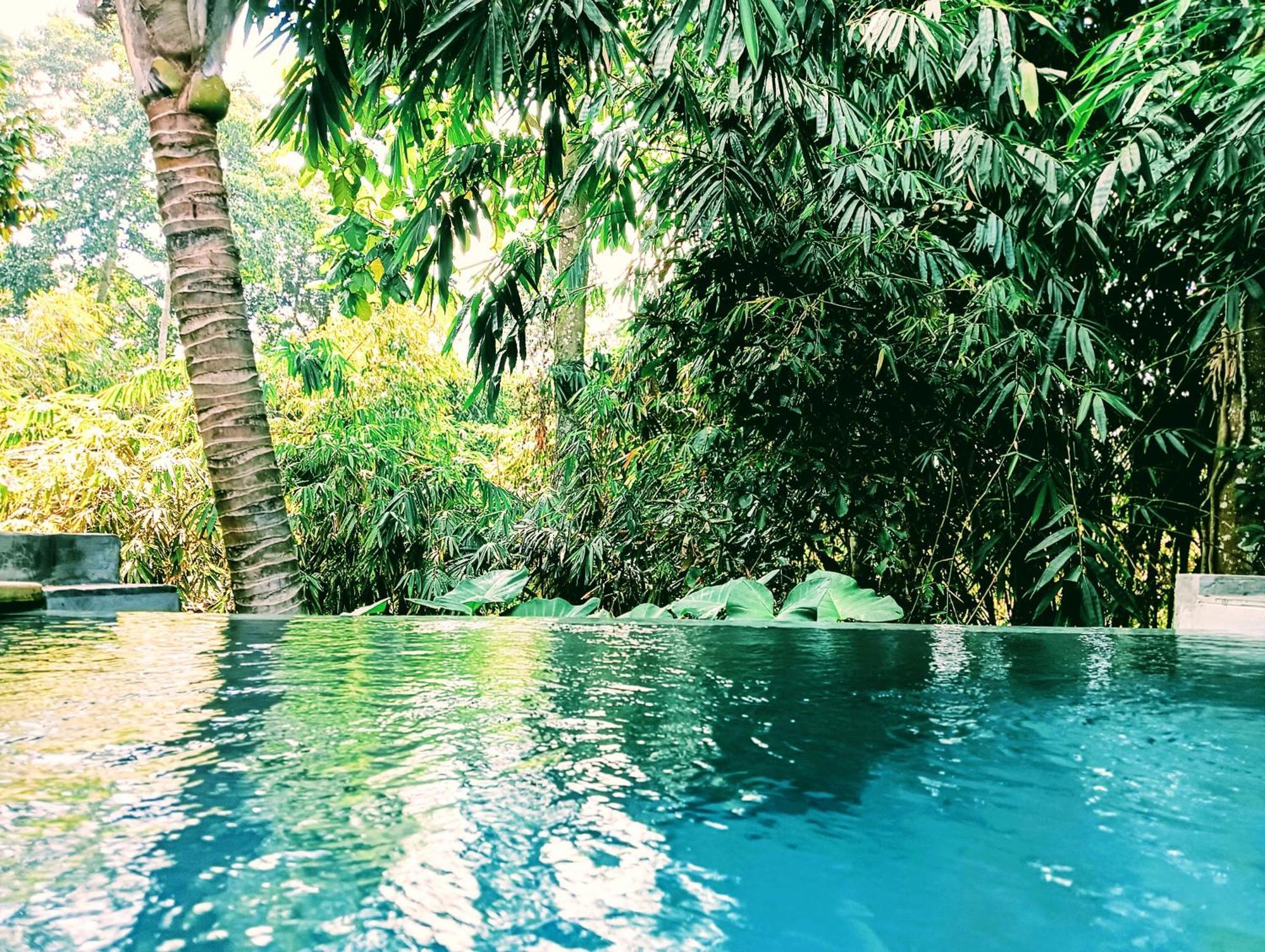 Ngesil Private Joglo & Pool Hotel Убуд Екстериор снимка